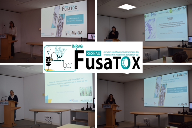 FUSATOX Network, Seminar 19-20 October