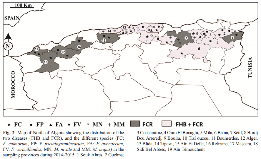 North Algeria - sampling