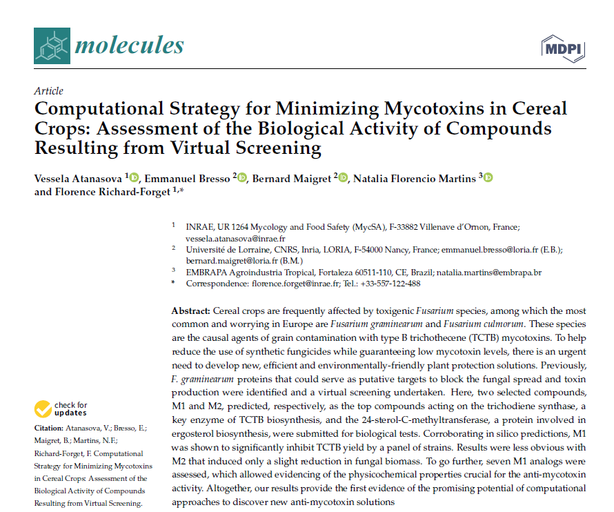 Computational strategy for minimizing mycotoxins in cereal crops: Assessment of the biological activity of compounds resulting from virtual screening
