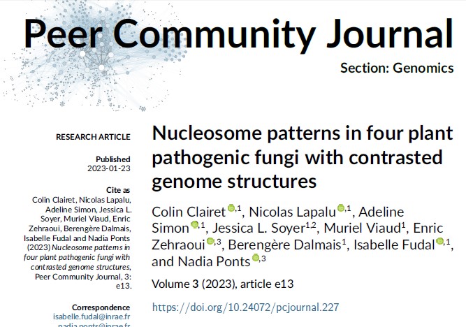 Nucleosome patterns in four plant pathogenic fungi with contrasted genome structures